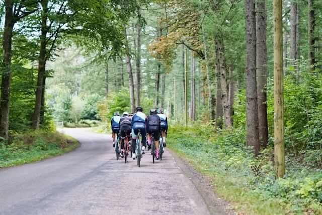 Cycling Tours on the South Island